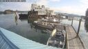 ./images/quadra/hbidock/20250616/hbidock20250616_085500M.jpg