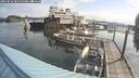 ./images/quadra/hbidock/20250616/hbidock20250616_085510M.jpg
