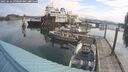 ./images/quadra/hbidock/20250616/hbidock20250616_090509M.jpg