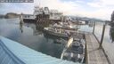 ./images/quadra/hbidock/20250616/hbidock20250616_091000M.jpg