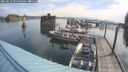 ./images/quadra/hbidock/20250616/hbidock20250616_093509M.jpg