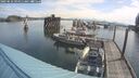 ./images/quadra/hbidock/20250616/hbidock20250616_094511M.jpg