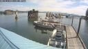 ./images/quadra/hbidock/20250616/hbidock20250616_100010M.jpg