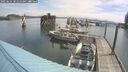 ./images/quadra/hbidock/20250616/hbidock20250616_101010M.jpg