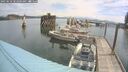 ./images/quadra/hbidock/20250616/hbidock20250616_103000M.jpg