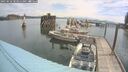 ./images/quadra/hbidock/20250616/hbidock20250616_103012M.jpg