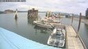 ./images/quadra/hbidock/20250616/hbidock20250616_115000M.jpg