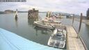 ./images/quadra/hbidock/20250616/hbidock20250616_115008M.jpg