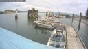 ./images/quadra/hbidock/20250616/hbidock20250616_115500M.jpg