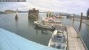 ./images/quadra/hbidock/20250616/hbidock20250616_120000M.jpg
