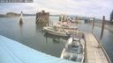 ./images/quadra/hbidock/20250616/hbidock20250616_120012M.jpg