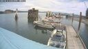 ./images/quadra/hbidock/20250616/hbidock20250616_120510M.jpg
