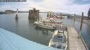 ./images/quadra/hbidock/20250616/hbidock20250616_121011M.jpg