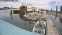 ./images/quadra/hbidock/20250616/hbidock20250616_131010M.jpg