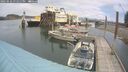 ./images/quadra/hbidock/20250616/hbidock20250616_131511M.jpg