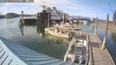 ./images/quadra/hbidock/20250616/hbidock20250616_183511M.jpg