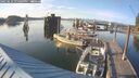 ./images/quadra/hbidock/20250616/hbidock20250616_194008M.jpg