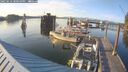 ./images/quadra/hbidock/20250616/hbidock20250616_200010M.jpg