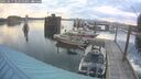 ./images/quadra/hbidock/20250617/hbidock20250617_062511M.jpg