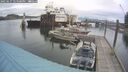 ./images/quadra/hbidock/20250617/hbidock20250617_124500M.jpg