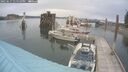 ./images/quadra/hbidock/20250617/hbidock20250617_135510M.jpg