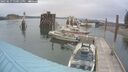 ./images/quadra/hbidock/20250617/hbidock20250617_140012M.jpg