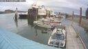 ./images/quadra/hbidock/20250617/hbidock20250617_150011M.jpg