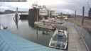 ./images/quadra/hbidock/20250617/hbidock20250617_165500M.jpg