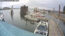 ./images/quadra/hbidock/20250617/hbidock20250617_171011M.jpg