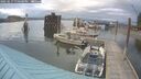 ./images/quadra/hbidock/20250617/hbidock20250617_190500M.jpg