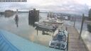 ./images/quadra/hbidock/20250618/hbidock20250618_060509M.jpg