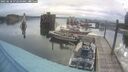 ./images/quadra/hbidock/20250618/hbidock20250618_072510M.jpg