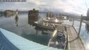 ./images/quadra/hbidock/20250618/hbidock20250618_082000M.jpg
