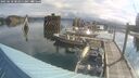 ./images/quadra/hbidock/20250618/hbidock20250618_082011M.jpg