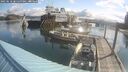 ./images/quadra/hbidock/20250618/hbidock20250618_085500M.jpg