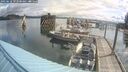 ./images/quadra/hbidock/20250618/hbidock20250618_093500M.jpg