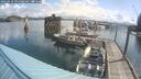 ./images/quadra/hbidock/20250618/hbidock20250618_094500M.jpg