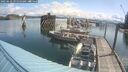 ./images/quadra/hbidock/20250618/hbidock20250618_095010M.jpg