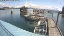 ./images/quadra/hbidock/20250618/hbidock20250618_095500M.jpg