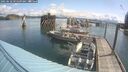 ./images/quadra/hbidock/20250618/hbidock20250618_095509M.jpg