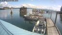 ./images/quadra/hbidock/20250618/hbidock20250618_100000M.jpg