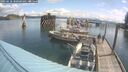 ./images/quadra/hbidock/20250618/hbidock20250618_100508M.jpg