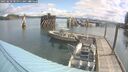 ./images/quadra/hbidock/20250618/hbidock20250618_101511M.jpg
