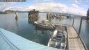 ./images/quadra/hbidock/20250618/hbidock20250618_103510M.jpg