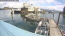 ./images/quadra/hbidock/20250618/hbidock20250618_110510M.jpg