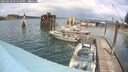 ./images/quadra/hbidock/20250618/hbidock20250618_141010M.jpg