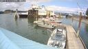 ./images/quadra/hbidock/20250618/hbidock20250618_145010M.jpg