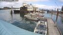 ./images/quadra/hbidock/20250618/hbidock20250618_145500M.jpg