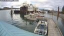 ./images/quadra/hbidock/20250618/hbidock20250618_165500M.jpg