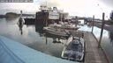./images/quadra/hbidock/20250619/hbidock20250619_082000M.jpg